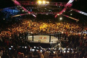 Legalize MMA in New York by a New Yorker