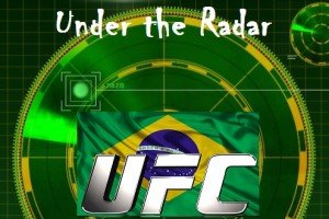 UFC 134 Under the Radar