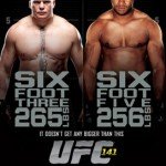 UFC 141