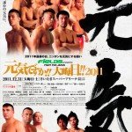 Fields Fight for Japan 2011