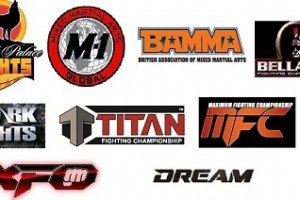 Second Tier MMA by Committee?