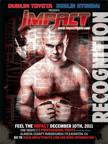 Impact Fights Poster