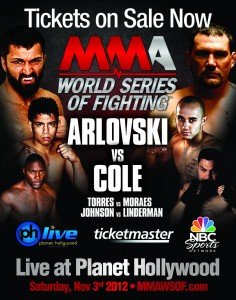 WSOF 1 236x300 Putting a Grade on the First Event from The World Series of Fighting 