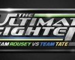 Ranking The Ultimate Fighter 18 Fighters: The Quarterfinals