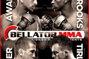 The Fight Report for a Thin Bellator 105
